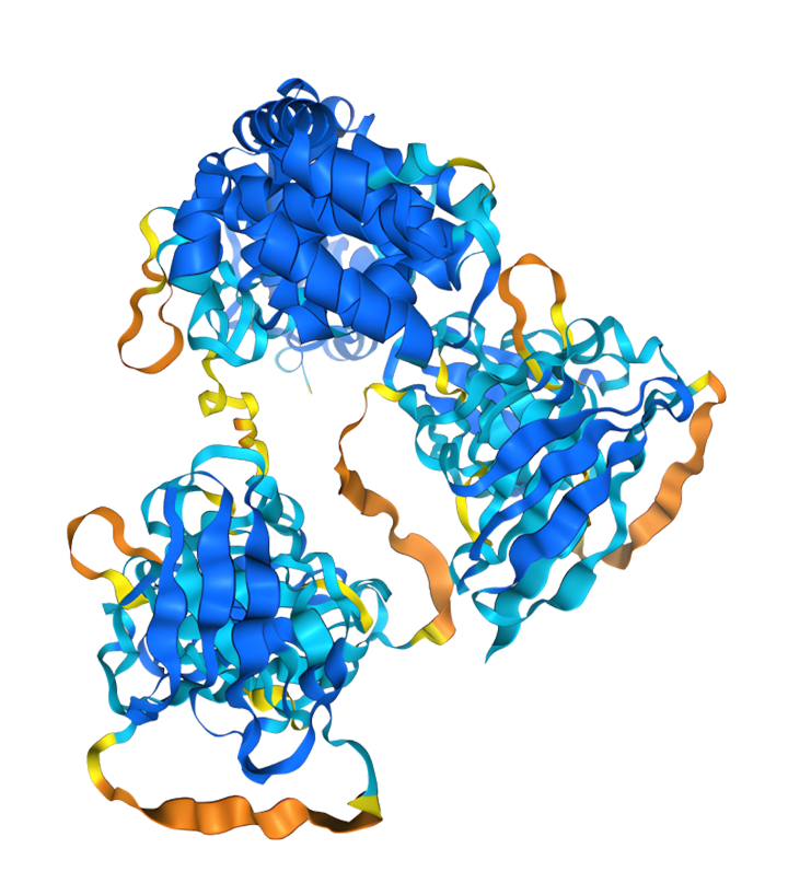 维瑾生物科技有限公司